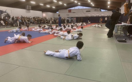 4b4aef051214f2e5960ac29ed6b464c6.jpg